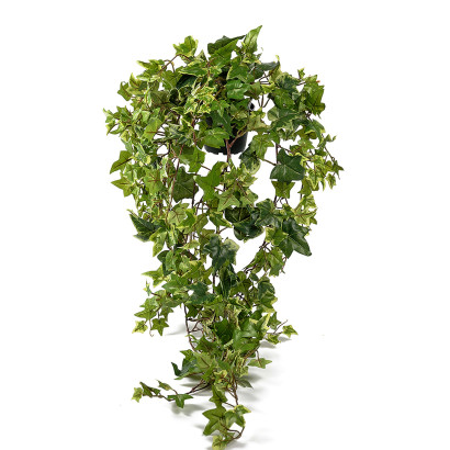 Konstväxt Murgröna 85 cm - 4-pack