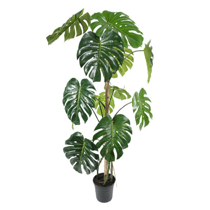 Konstväxt Monstera 150 cm - 2-pack