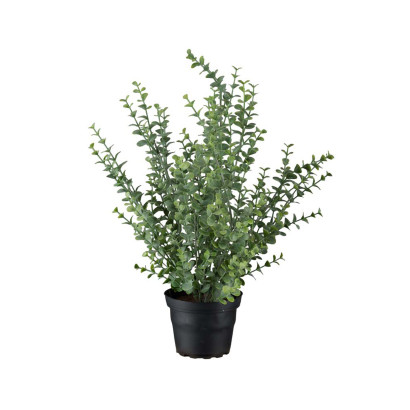 Konstväxt Eucalyptus 40 cm - 10-pack