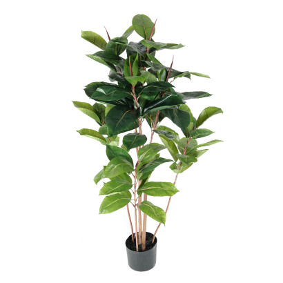 Konstväxt Fikus Robusta 120 cm - 2-pack
