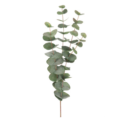 Konstväxt Eucalyptuskvist - 12-pack