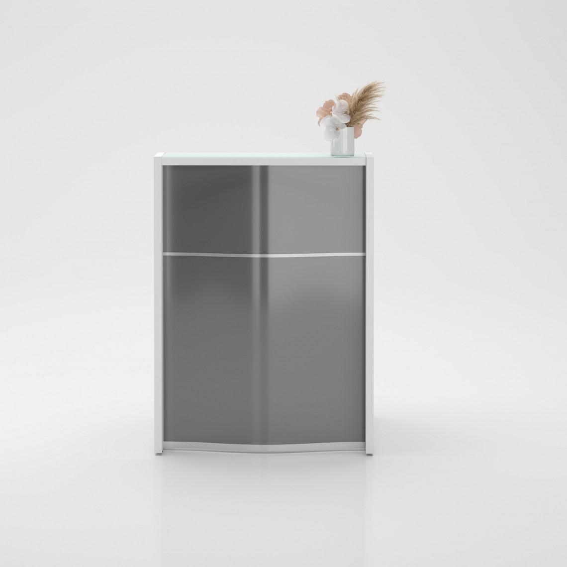Receptionsdisk Wave Modell 3 Receptionsdisk Wave Modell 3
