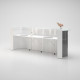 Receptionsdisk Wave Modell 4 Receptionsdisk Wave Modell 4