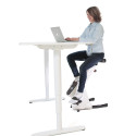 Desk Bike Desk Bike