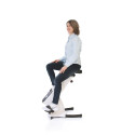 Desk Bike