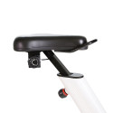 Desk Bike Desk Bike