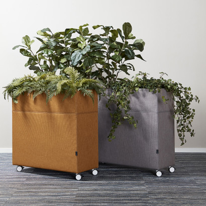 Plant Divider