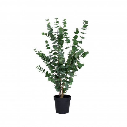 Konstväxt Eucalyptus 110 cm