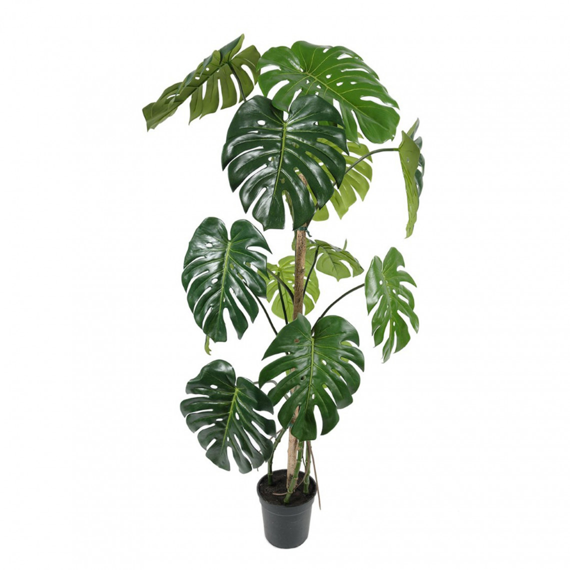 Konstväxt - Monstera Konstväxt - Monstera