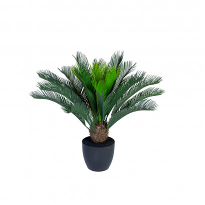 Konstväxt - Cycas Palm Small
