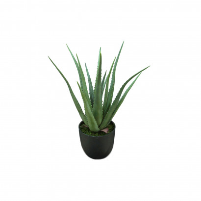 Konstväxt - Aloe Vera  (inkl. svart kruka)