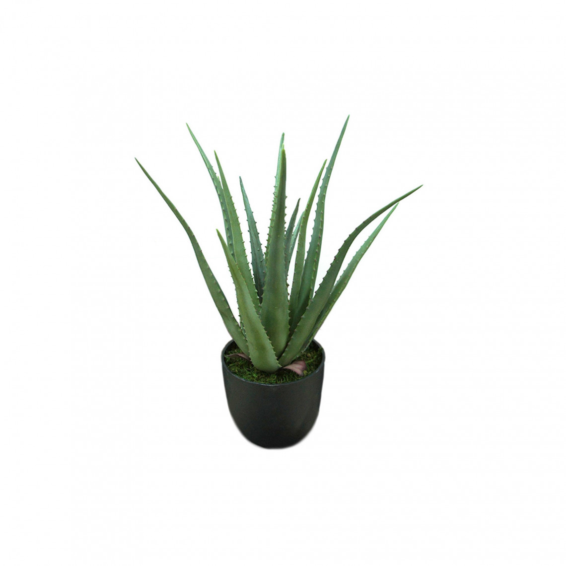 Konstväxt - Aloe Vera (inkl. svart kruka) Konstväxt - Aloe Vera (inkl. svart kruka)