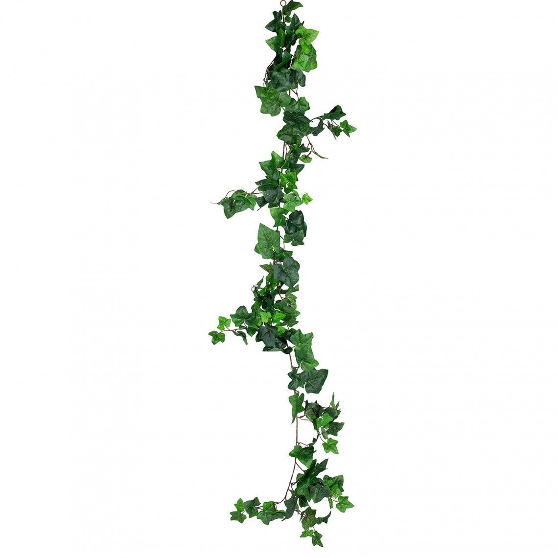 Girlang - Murgröna Girlang - Murgröna