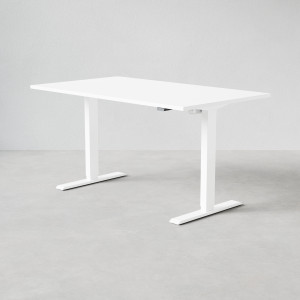 Höj- och sänkbart skrivbord 100 cm