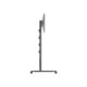 M Public Display Stand 180 HD Dual Black M Public Display Stand 180 HD Dual Black