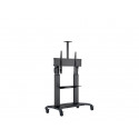 M Public Floorstand Dual Pillar 180 HD