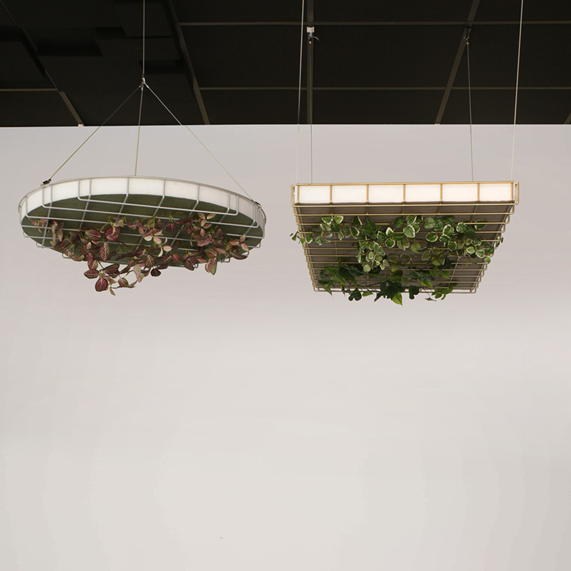 Takabsorbent Off the Grid