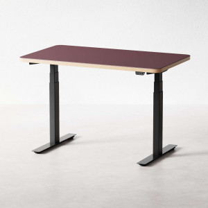 Höj- och sänkbart skrivbord 120 cm