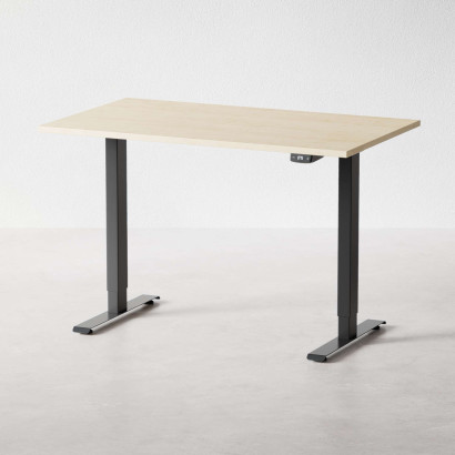 Höj och sänkbart skrivbord - Professional