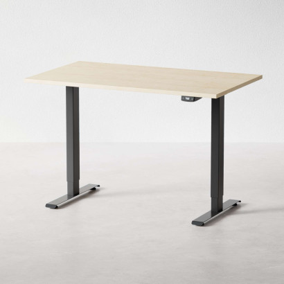 Höj och sänkbart skrivbord - Professional