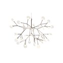 Heracleum II Small Nickel Heracleum II Small Nickel