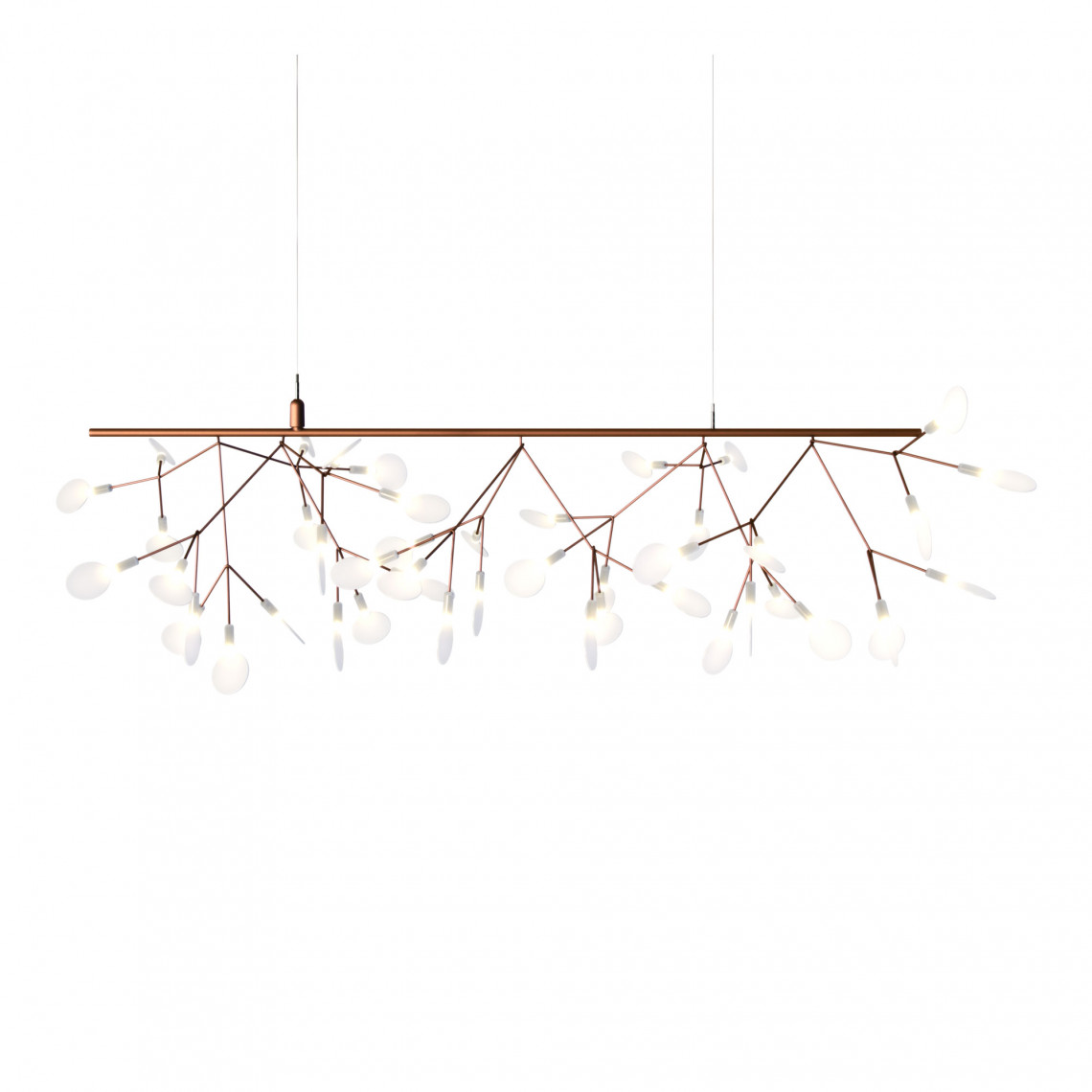 Heracleum Endless Koppar Heracleum Endless Koppar