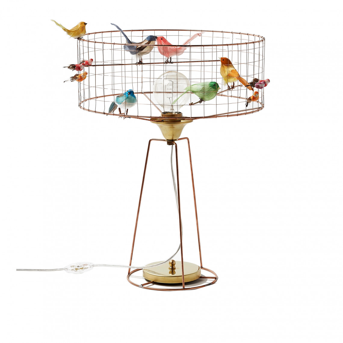 Fågellampa Lampe Volière Tambour Fågellampa Lampe Volière Tambour