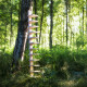 Pilaster vägghylla - vit lack Pilaster vägghylla - vit lack