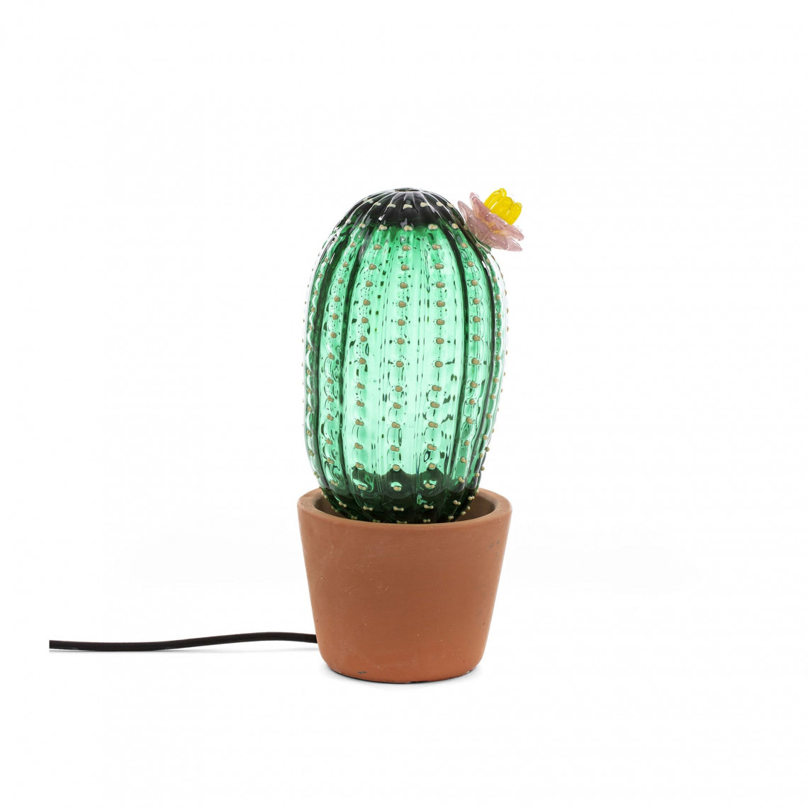 Cactus Sunrise - Mellan Cactus Sunrise - Mellan