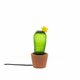Cactus Sunrise - Liten Cactus Sunrise - Liten