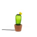 Cactus Sunrise - Liten Cactus Sunrise - Liten