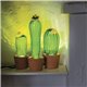 Cactus Sunrise - Liten Cactus Sunrise - Liten