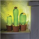Cactus Sunrise - Liten 