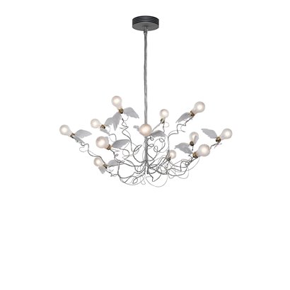 Birdie Transparent