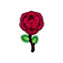 LED Neon Sign - Rose LED Neon Sign - Rose