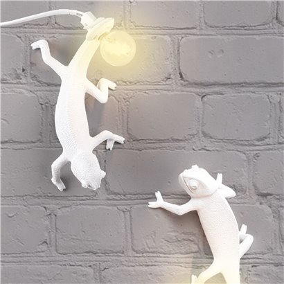 Chameleon Lamp - Going Up