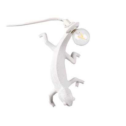 Chameleon Lamp - Going Down