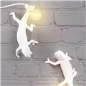 Chameleon Lamp - Going Down Chameleon Lamp - Going Down