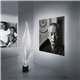 Cosmic Leaf Golvlampa Cosmic Leaf Golvlampa