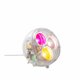 Yang LED Yang LED