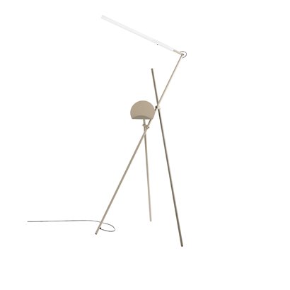Asana P-3768 Grå