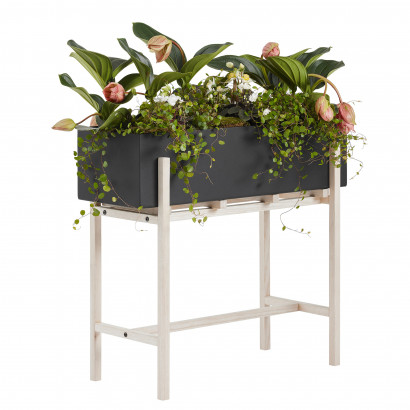 Blomställning Botanic Stand