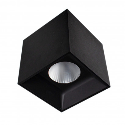 Spotlight M11