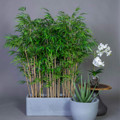 Konstväxt - Bambu Small