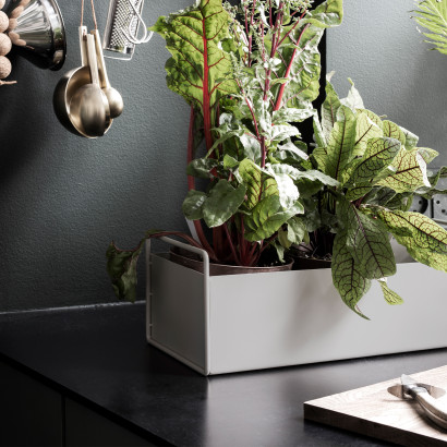 Plant Box - Small, Olive