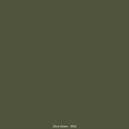 Olive Green -BX6.jpg