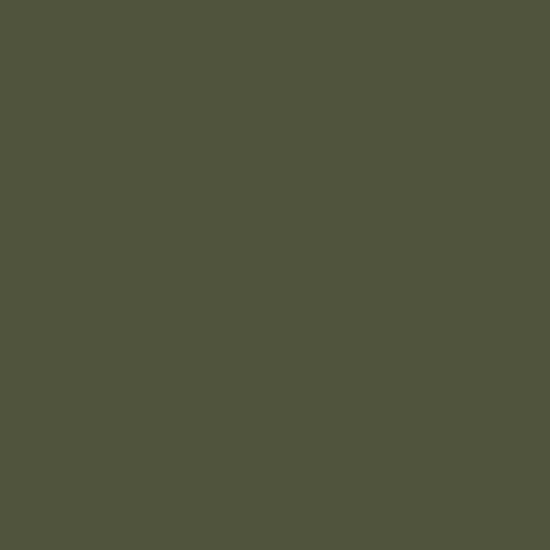 olivegreen-bx6.jpg