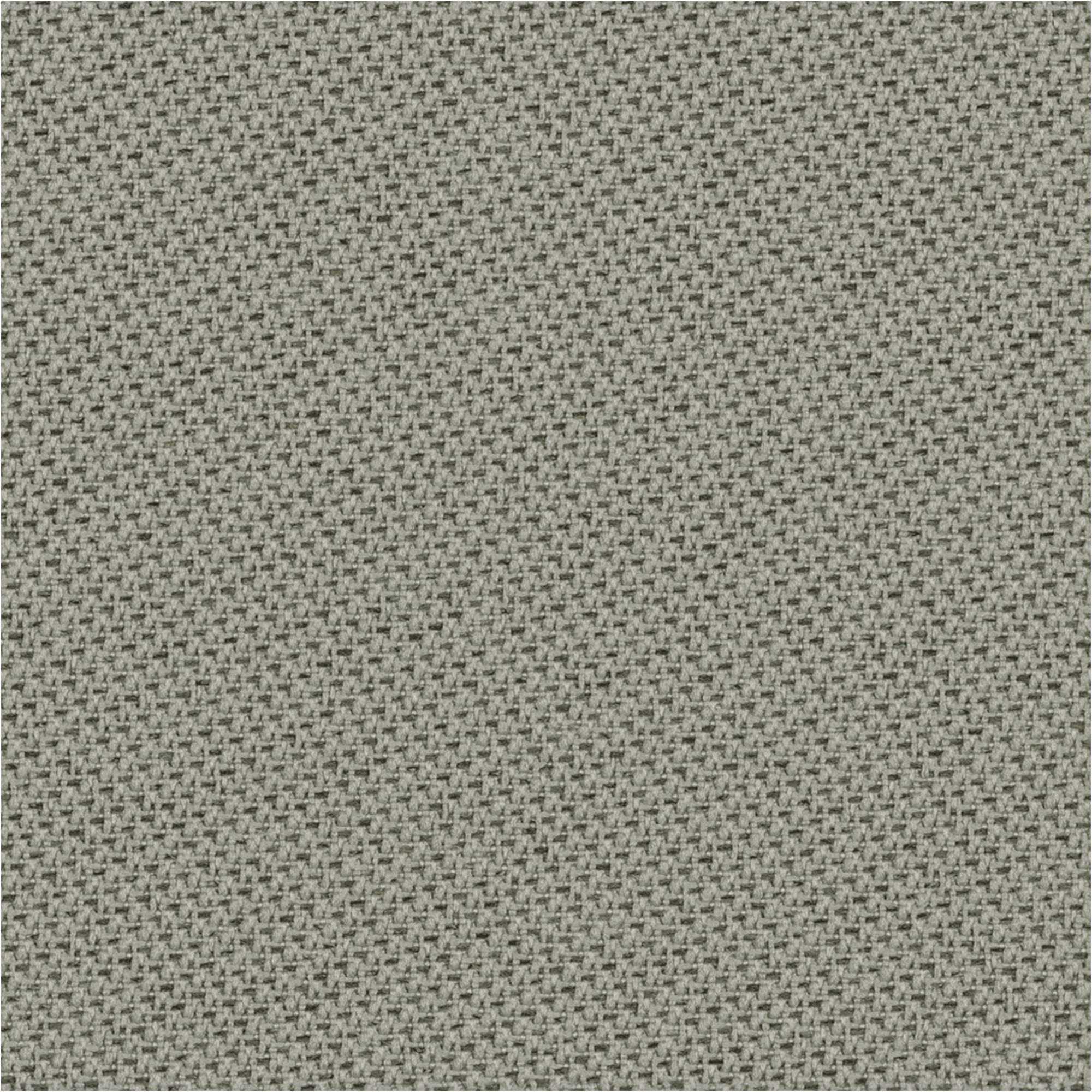 Tonal_60123.jpg