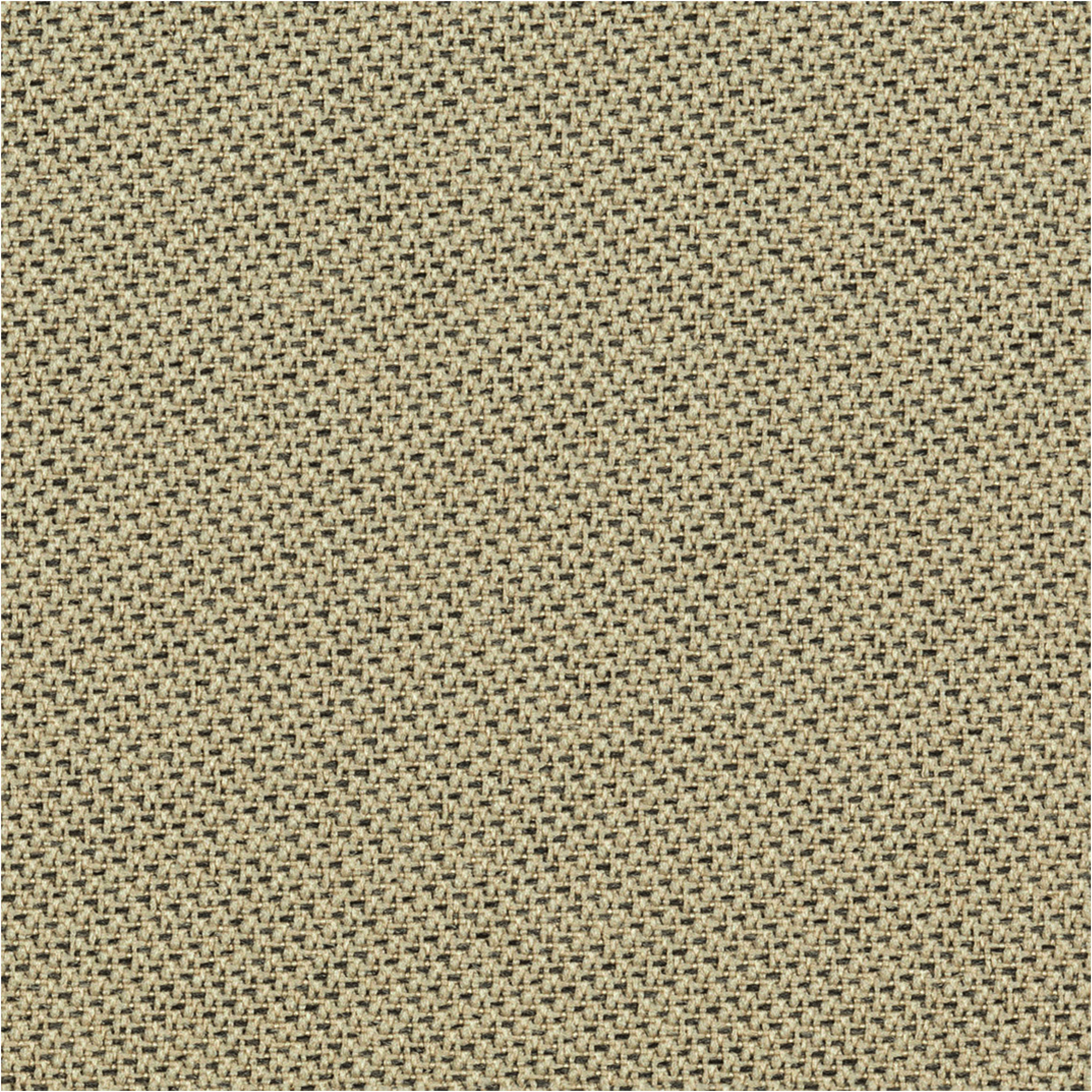 Tonal_61179.jpg