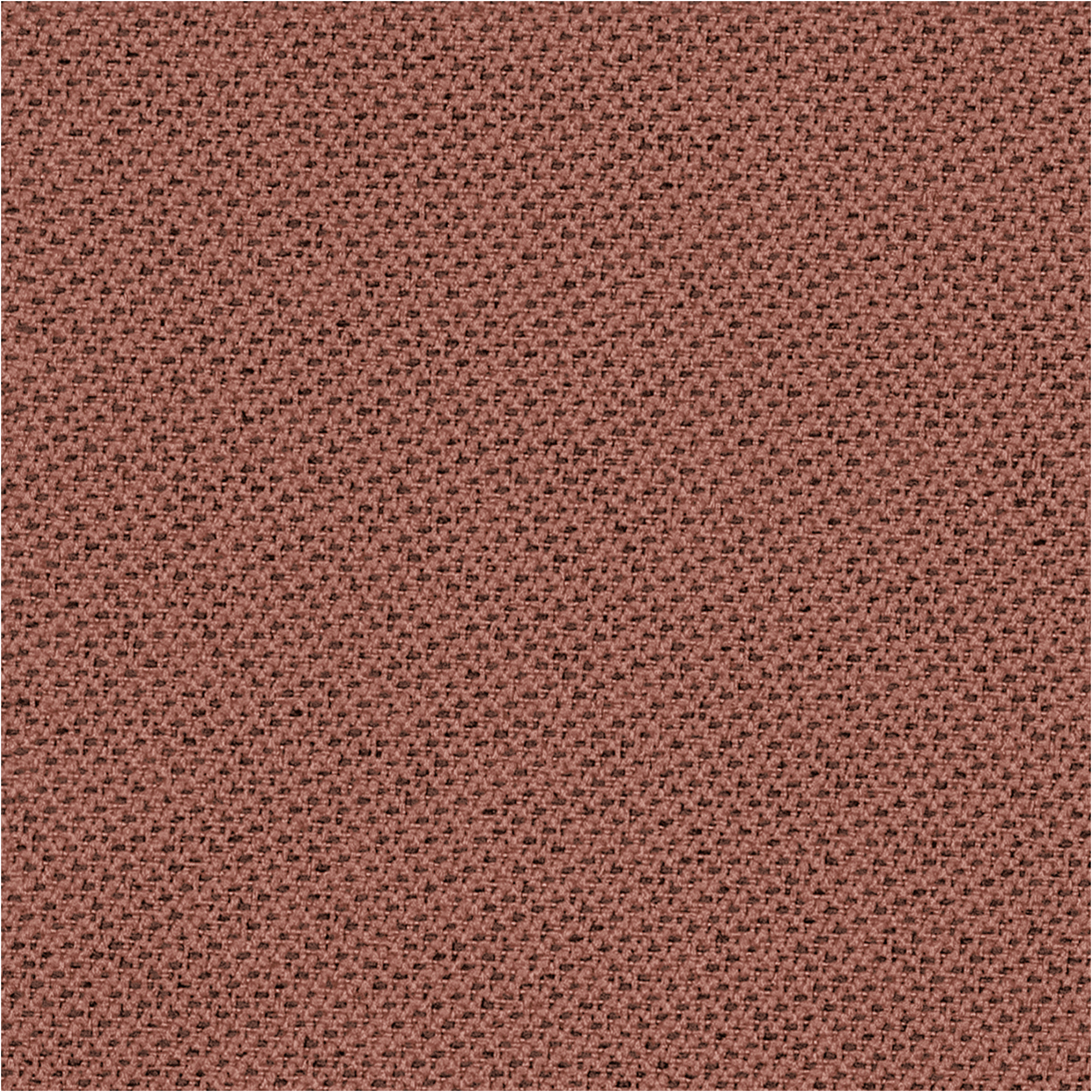 Tonal_64210.jpg
